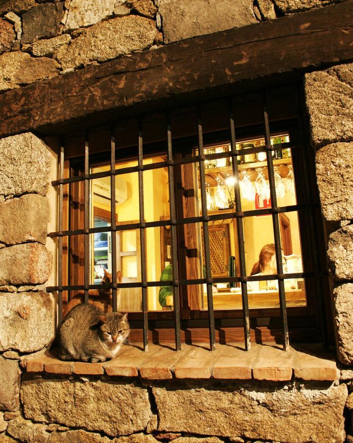 Posada La Gatera Pedro Bernardo المظهر الخارجي الصورة